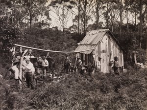 Cabaña de Bertie, Expedición del Club de Naturalistas a la Isla King de Archibald James Campbell